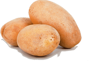 potato.png